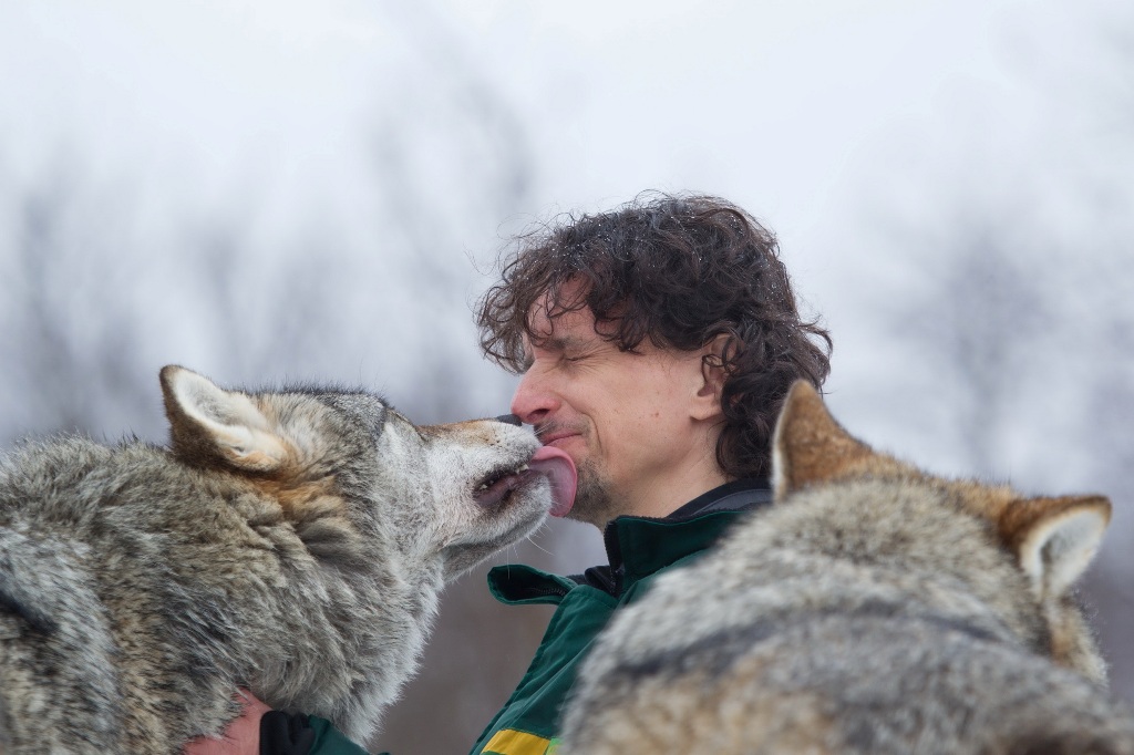 Luca Bracali e l'incontro con i lupi