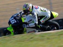 CEV 2015, Nicolo' Bulega