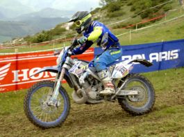 Silvestro Silvi MC D'Ippolito