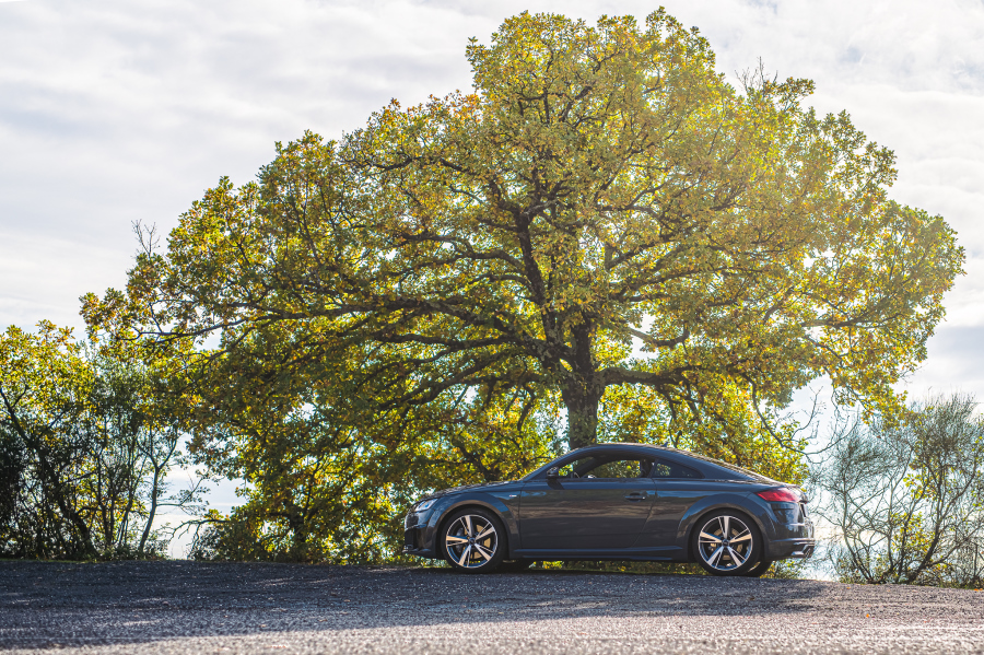 audiTT-45TFSI2020-performancemag.it