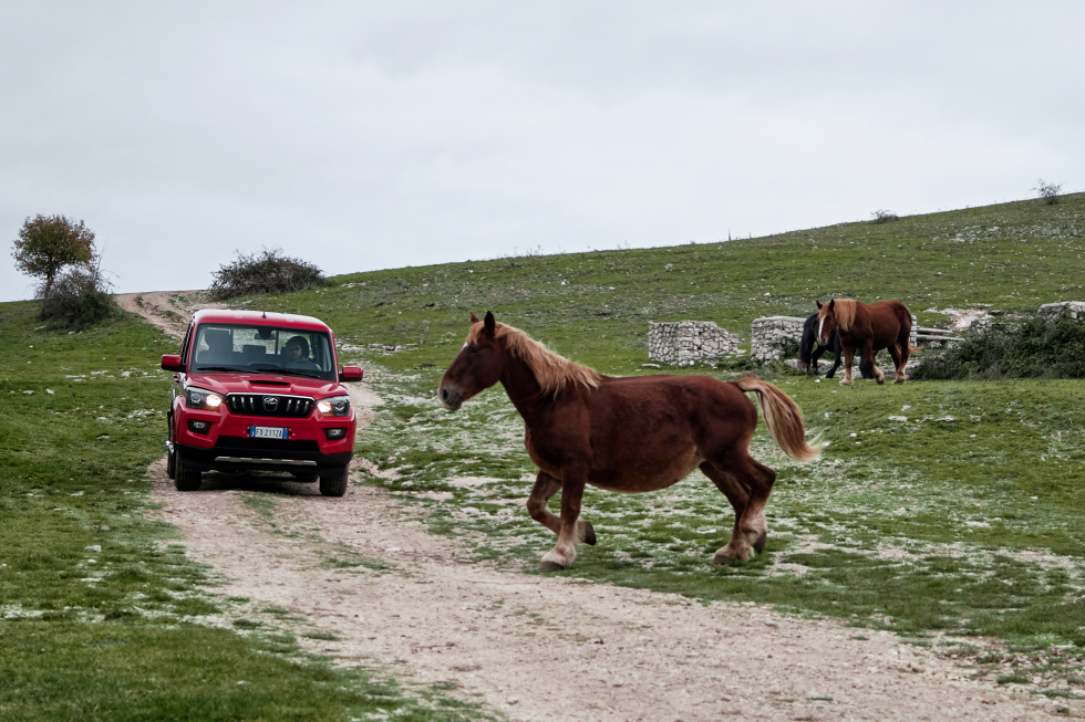 performancemag.it-mahindraGOA2020-hardtest 